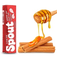  عسلی اسپوت با طعم دارچین لوته بسته 3 عددی635f3ed2d9a5151630